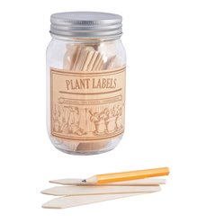 Wooden plant lables in jar