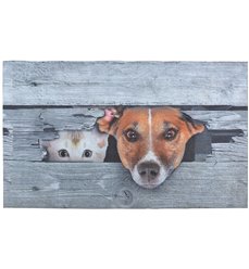 Doormat Peek-a-boo! Dog & cat