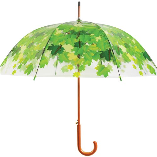 Umbrella tree