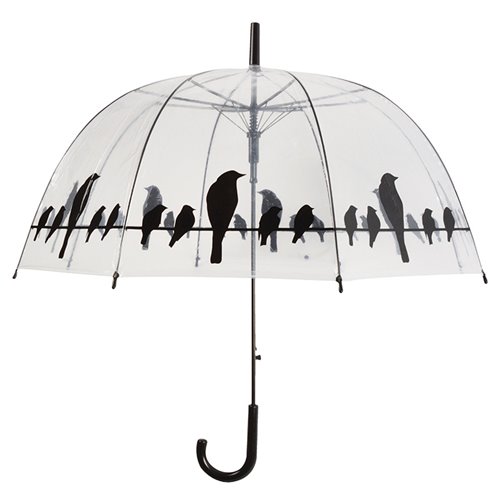 Umbrella transparent birds on wire