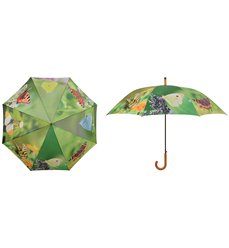 Umbrella butterflies