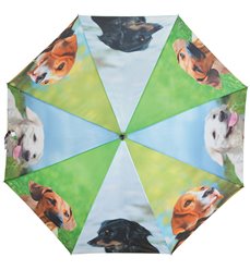Umbrella dogs