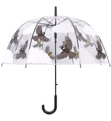 Transparent umbrella 2 sided birds
