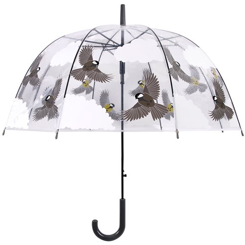 Transparent umbrella 2 sided birds