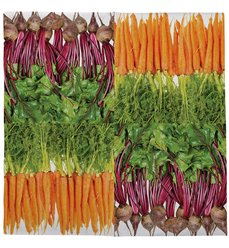 Paper napkins vegetables 33x33cm